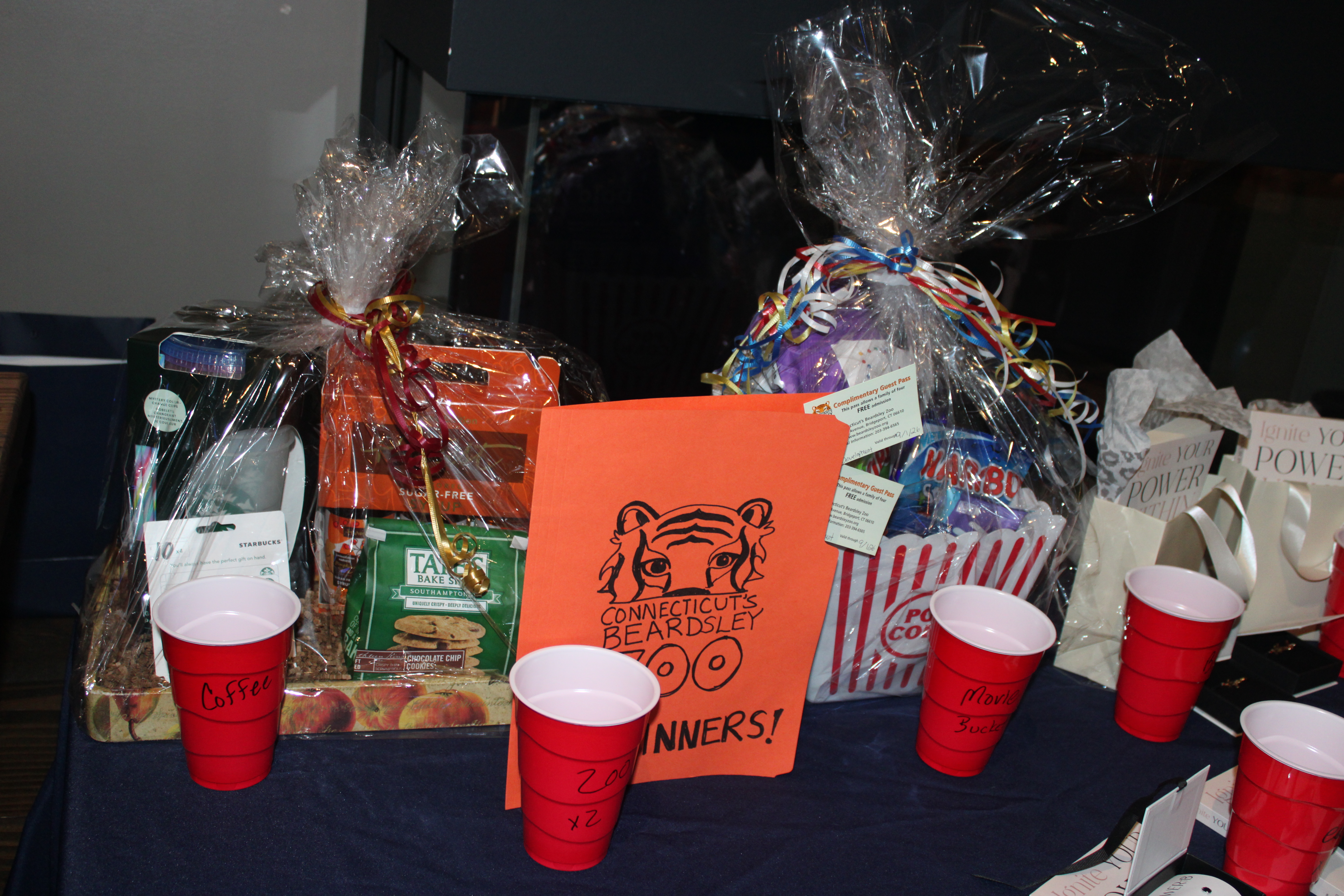 Drag Bingo Fundraiser