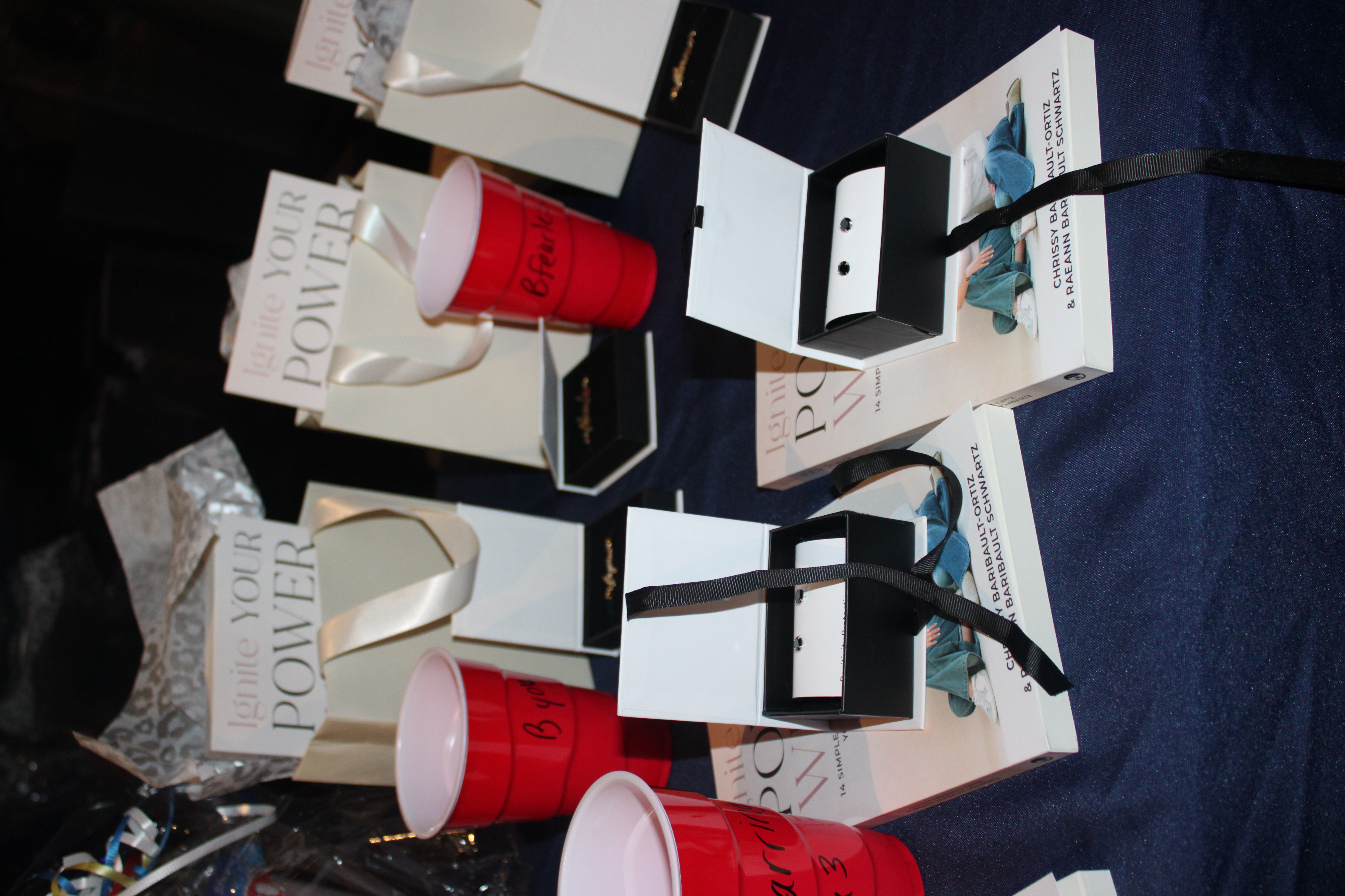 Drag Bingo Fundraiser